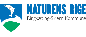 Logo for organisation Ringkøbing-Skjern Kommune